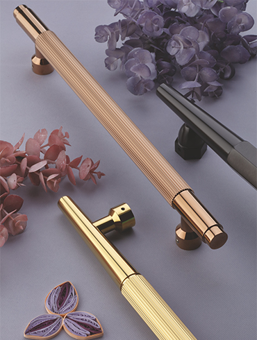 Main Door Handle